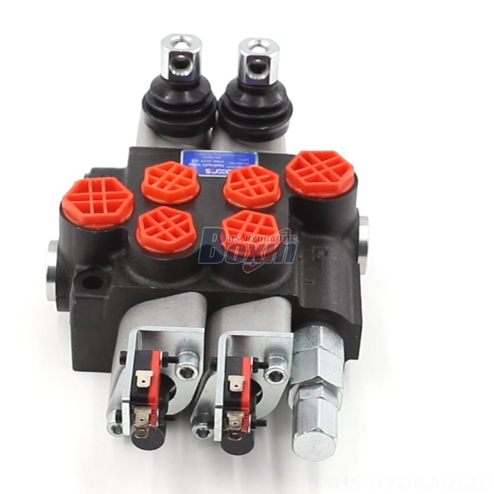 2 Spool Monoblock Directional Valve - P40: Factory Supply & Tailored Solutions cover photo